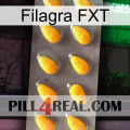 Filagra FXT cialis1